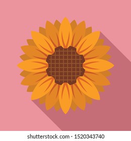 Cosmetic sunflower icon. Flat illustration of cosmetic sunflower vector icon for web design