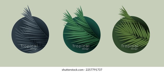 Etiquetas de cosméticos o productos de cuidado con hojas tropicales de palma ilustraciones vectoriales 3d realistas