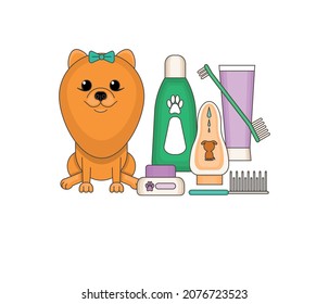 Cosmetics and hygiene for dogs. Sample. Multi-colored image on a white background. Close-up. There is free space for text. Vector illustration.
