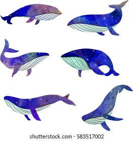 Cosmic whales set