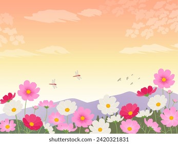 Cosmos and autumn landscape image background