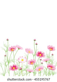 cosmos background