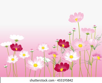 cosmos background