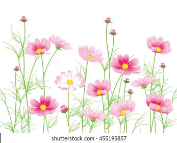 cosmos background