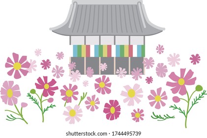 
Cosmos blooming around the temple