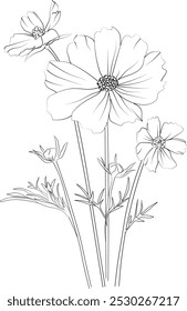 Página para colorear de flores catárticas de Cosmos, flor de nacimiento de octubre Estampado de contorno con flores cosmos, hojas y brotes Tatuajes de flores de Cosmos, Contorno adornado Planta de Cosmos para colorear páginas aisladas