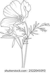 Cosmos cathartica isolated, hand-drawn floral element. vector illustration bouquet of Cosmos, sketch art beautiful Cosmos flower tattoo, coloring page for adults, botanical Cosmos drawing