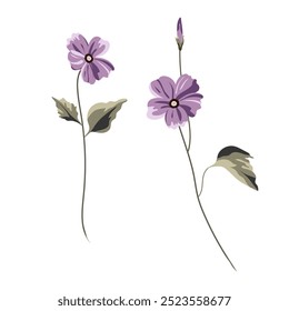 Cosmos is a delicate, airy creation with thin, elegant petals, a creamy hue, and a lace-like pattern. The stem is thin, flexible, like a lyre string, creating the effect of a dancing ballerina.