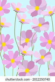 Cosmos Flower Background.Eps 10 Vector.