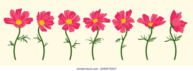 Fondo de la flor Cosmos.Eps 10 Vector