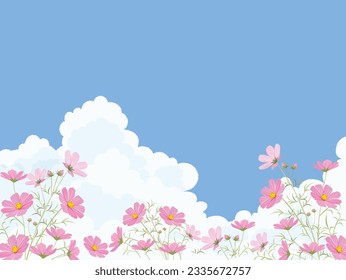 Cosmos flower and blue sky background.