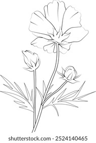 Cosmos flower drawing, Hand drawn botanical spring elements bouquet of cosmos line art coloring page, easy flower drawing. cosmos flower wall art, unique flower coloring pages