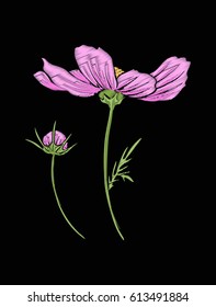 Cosmos flower for embroidery in botanical illustration style on a black background. Stock vector illustration. 