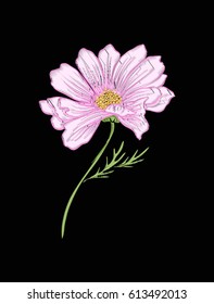 Cosmos flower for embroidery in botanical illustration style on a black background. Stock vector illustration. 