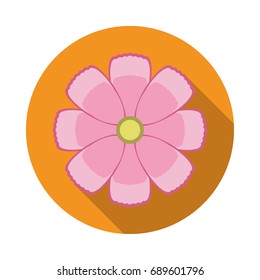 Cosmos Flower Flat Icon. Vector Icon