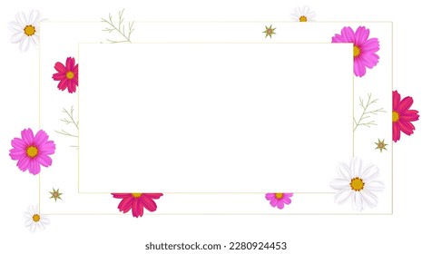 Cosmos flower. Floral background. Green leaves. Buds. Chamomile. Daisy.