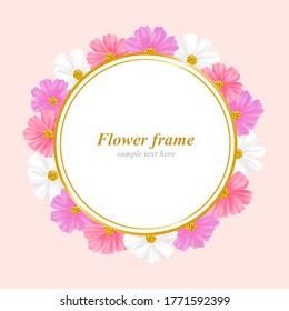 Cosmos flower frame illustration set