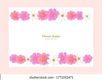 Conjunto de ilustraciones del marco de la flor Cosmos