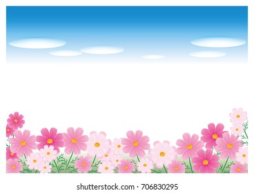 Cosmos flower garden / Background material with vector