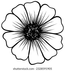 cosmos flower hand drawn vintage style,vector illustration