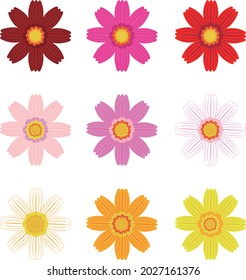 cosmos flower illustration icon set