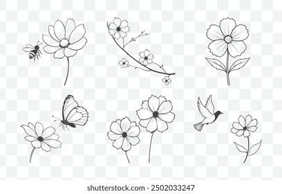 Cosmos Flower Line Art Vector Set with Detailed Botanical Illustrations in Elegant Minimalist Style