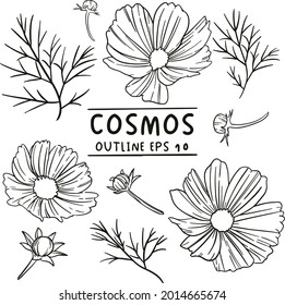cosmos flower outline black and white vector