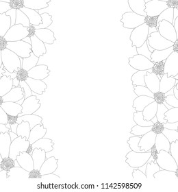 Cosmos Flower Outline Border. Vector Illustration.