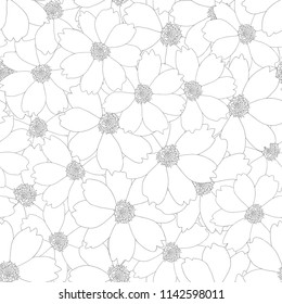 Cosmos Flower Outline Seamless Background. Vector Illustration.