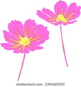 Cosmos flower risograph print inspired illustration 