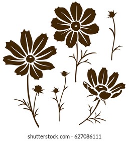 Cosmos flower silhouette. Vector illustration. Decorative set of garden flowers