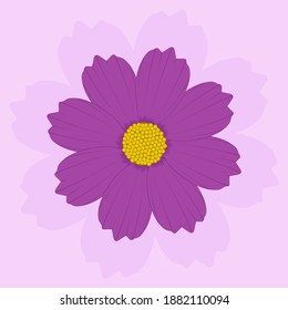 Cosmos flower vector art and graphics