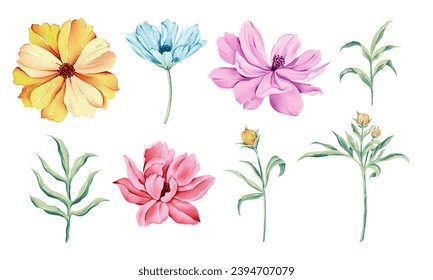 Cosmos flower vector illustration, an element suitable for patterns, scarves, home decoration and more.