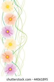 cosmos flower vector  image with green curves