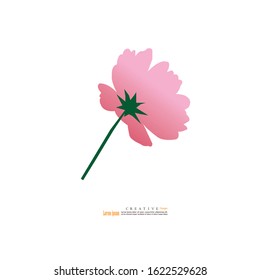 Cosmos flowers blooming icon on white background.vector illustration.