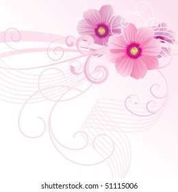 cosmos flowers curves