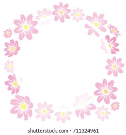 cosmos flowers frame