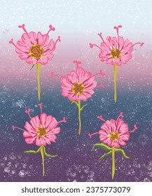 Cosmos Flowers on purple background,vector illustration