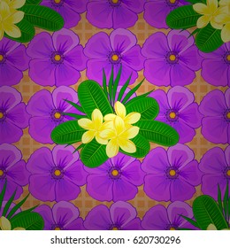 Cosmos flowers seamless pattern on a brown background. Cute vector floral background.