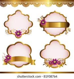 cosmos with gold frame