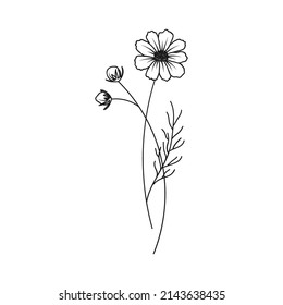 Cosmos October Birth Month Flower Illustration