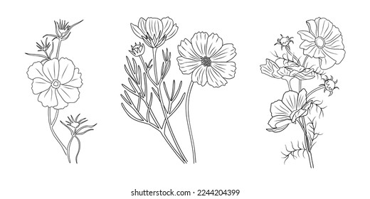 Cosmos October Birth month flower set. Botanical Line art vector illustration. Hand drawn monochrome black ink Sketch. Modern floral minimalist design for wall art, card, tattoo, logo.