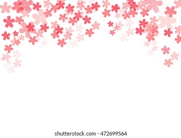 cosmos pink greeting cards on white background, vector