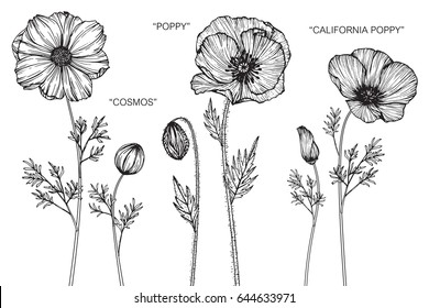 Poppy Tattoo Images Stock Photos Vectors Shutterstock