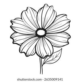 Cosmos Vector on White Background