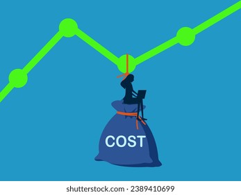 Cost analysis. woman uses laptop to analyze cost charts 