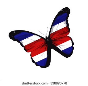 Costa Rica flag butterfly - vector