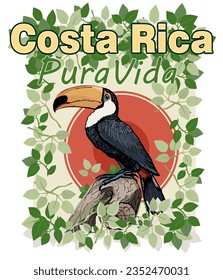 "Costa Rica Pura Vida" floral poster with tropical bird Toucan. Vector hand drawn illustration.