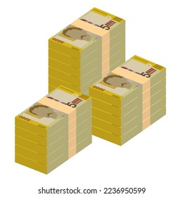 Costa Rican Colon Vector Illustration. Costa Rica money set bundle banknotes. Paper money 5000 CRC. Flat style. Isolated on white background. Simple minimal design.