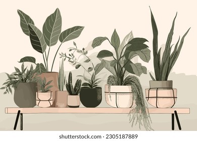 Cosy Minimal House Plants Boho Illustration